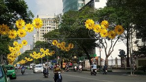 bán nhà số 9 mạc đỉnh chi, bên cạnh lãnh sự quán mỹ, p. bến nghé, quận 1