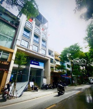 cầu giấy // mặt phố víp // vị trí trung tâm // 100m2 - 7 tầng thông sàn + hầm - mặt tiền 6m