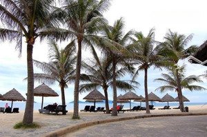 hàng hiếm giá tốt, lô đất tuyệt đẹp, view biển cửa đại, hội an, 400m2, giá chỉ 10,x tỷ