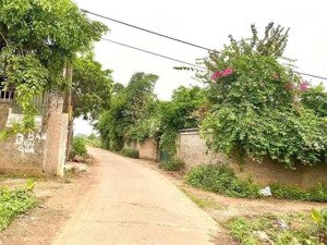 đất vườn xen kẽ khu dân cư xung quanh nhà vườn hiện hữu