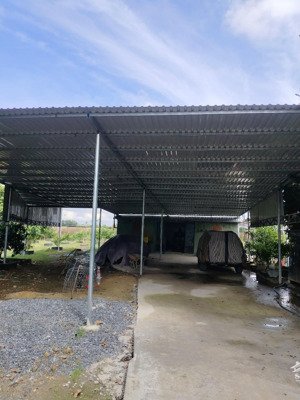 cho thuê nhà xưởnng nguyễn thị my trung an củ chi, dtkv 5000m2, xây dựng 500m2, giá 15tr/tháng