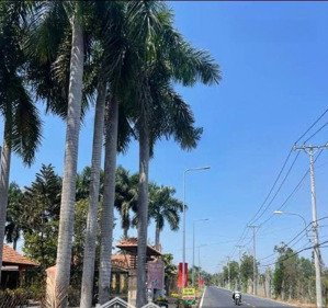 mặt tiền đường số 8 kế chợ long phước kinh doanh sầm uất - 500m2 full thổ cư giá chỉ 28 tỷ tl