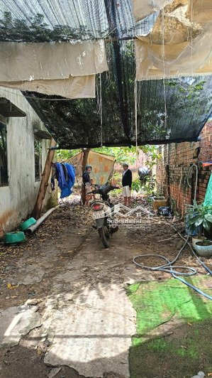 chính chủ cần tiền, bán gấp đất ngay bệnh viện lê văn thịnh, diện tích 84m2 giá 4,5tỷ