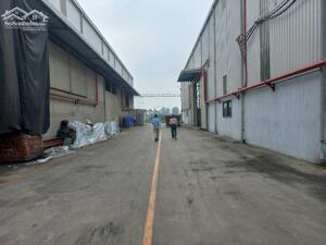 CẬP NHẬT KHO NHÀ XƯỞNG MỚI CHO THUÊ TRONG CÁC KHU CÔNG NGHIỆP TẠI QUẢNG NAM.