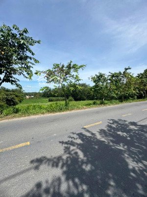 bán đất tại tỉnh lộ 15, 14 tỷ, 1770 m2, củ chi, tp.hcm