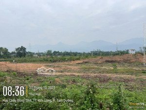 chính chủ cần bán 3000m2 đất tại tt kim long - tam dương - vĩnh phúc