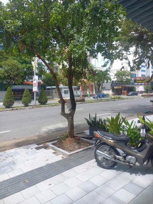 chủ bán gấp căn đất đương nguyễn tri phương, quận hải châu, tp đà nẵng