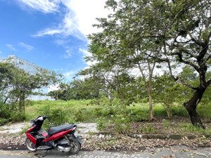 bán đất sổ đỏ cá nhân cát lái, dt 8x20m, đường 48-cl, giá chỉ 60 triệu/m²