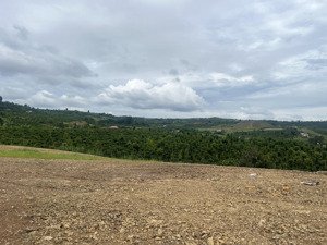 sở hữu ngay mảnh đất xanh mát tại tân hà lâm hà, giá chỉ 630 triệu! gần đà lạt