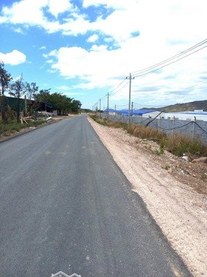 bán rẫy gần 1,2ha cà phê xen điều 350 cây cau gần quốc lộ giá 2,5 tỷ. lh yến: /0902300765