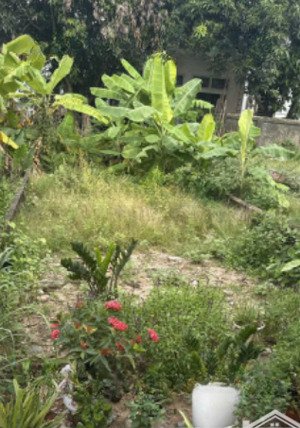 cơ hội sở hữu đất vàng lê xá mai lâm đông anh chỉ 600m tới vin cổ loa giá đầu tư cực tốt