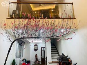 Bán nhà Mỹ Đình 38m2 nhà lô góc thoáng VF3 lủi cửa kinh doanh tốt 9 tỷ