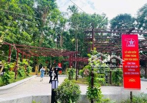 phân lô giảng viên đh công đoàn, học viện ngân hàng, trung tâm đống đa, 55m2 4 tầng, lô góc 19tỷ.