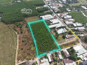 chỉ 5,5 triệu/tháng - 5000m2 đất ở xã bình lợi, vĩnh cửu. đường bê tông, xe oto tải vào tận nơi