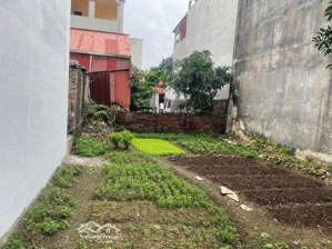 bán đất cạnh chợ ngọc chi-vĩnh ngọc giá đầu tư