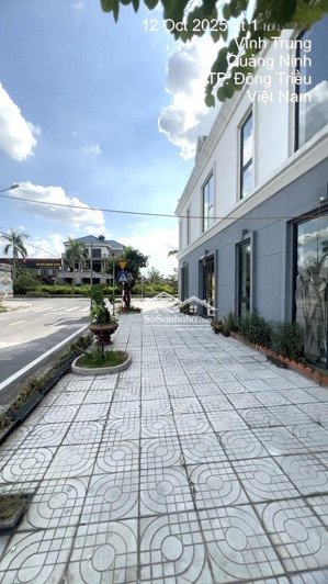 chính chủ cho thuê nhà liền kề góc vị trí đắc địa tại kđt hà lan, phường mạo khê lh 