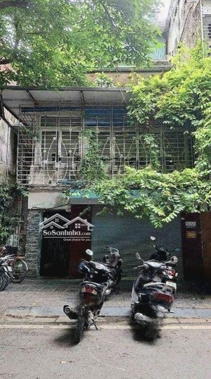 [giảm 1tỷ] bán gấp đất đào tấn - mặt tiền khủng - 110m2 chỉ 24.9 tỷ