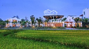 cơ hội hiếm có sở hữu khách sạn view cánh đồng lúa trung tâm hội an dòng tiền khủng (ms500)