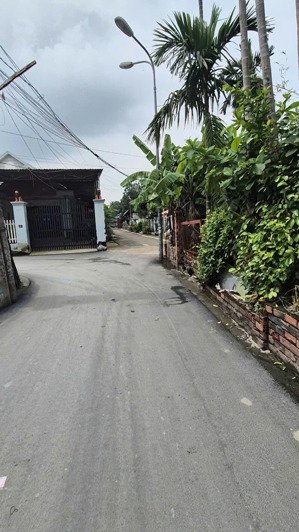 bán đất lái thiêu 105, thuận an, bình dương chỉ 6 tỷ