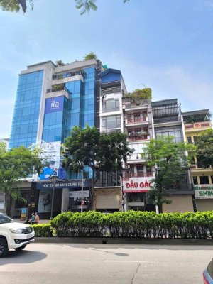 mặt phố ngô gia tự, vỉa hè 6m, vị trí đắc địa, kinh doanh sầm uất, dt 55m2, mt 4.5m, giá 15 tỷ