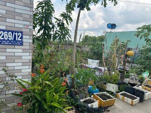 đất đẹp xã bình mỹ, củ chi - 1 sẹc đường bình mỹ, full thổ cư 252m², vị trí tiềm năng giá tốt 3 tỷ