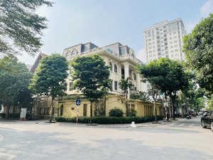 biệt thự lô góc trung văn siêu phẩm đẳng cấp doanh nhân, thang máy, nội thấy luxury