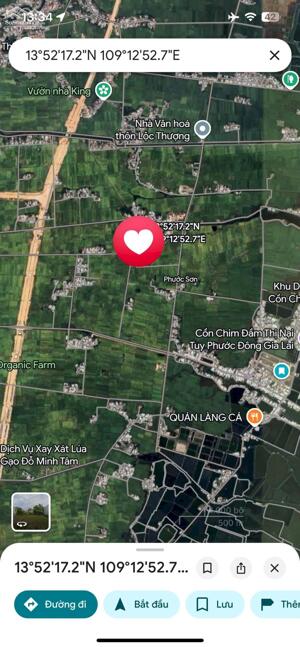 ĐẤT PHƯỚC SƠN VINH QUANG