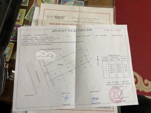 bán gấp nhà mặt phố bùi xương trạch - thanh xuân buôn bán sầm uất ôtô tránh thoải mái 80m2 - 9.8 tỷ