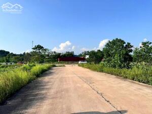 Bán lô 100m2 Đồng Tướng, Hướng Đạo cửa Ngõ KCN Tam Dương