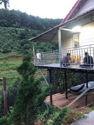 bất ngờ! nhà vườn 1016m2 giáp phường camly, đà lạt chỉ với 1.5 tỷ