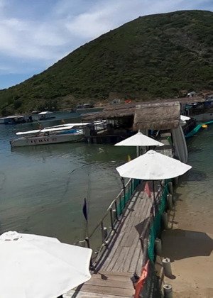 a697. siêu phẩm đất biển bích đầm nha trang 5.000m2 view biển, giá 5 tỷ 3