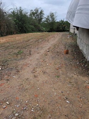 bán đất phân lô ở phường bắc lý, thành phố đồng hới, tỉnh quảng bình