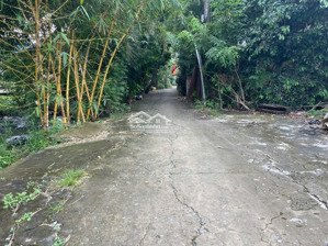 cần bán gấp gần 400m2 đất thổ cư mặt tiền kênh an phú đông, sát bờ sông sài gòn giá 13 tỷ