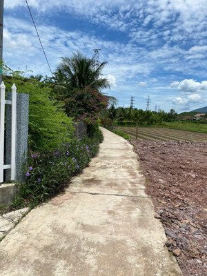 đã bán 1 lô - còn lô đẹp giá tốt. cần bán đất thổ cư 100%, đường bê tông ô tô tận nơi