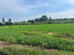 chính chủ cần bán đất shr 14x52m (703m) đường bình mỹ, củ chi 