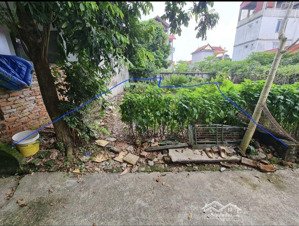 cho thuê đất 75m2 chính chủ tại phúc thọ