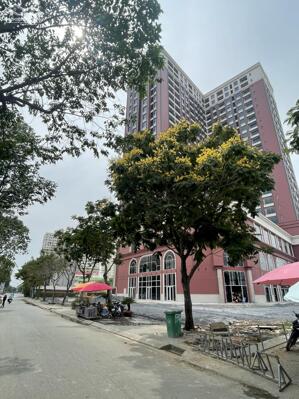 Căn hộ quận 7 nhận nhà liền 900 triệu không phát sinh thêm trong 24 tháng