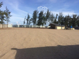 cho thuê lô đất mặt tiền biển cần thạnh cần giờ. 5100m2