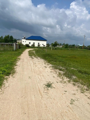 bán lô đất 1.4 sào, hẻm nguyễn thông, tân bình, la gi, bình thuận cũ ( la gi, lâm đồng mới )