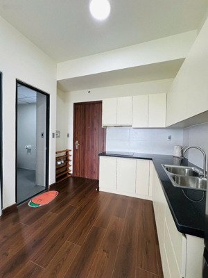 cơ hội hiếm - cho thuê gấp ehome southgate -căn hộ 51m2 full nội thất - view công viên lớn