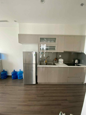 cho thuê cc đẹp, nhiều tiện ích tại vinhomes symphony riverside, 14 triệu, 65 m2