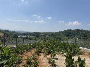 đất minh quang thuộc tuyến 2 tỉnh lộ, cách tl hơn 100m, đường thông, gần hồ lớn-view thoáng cực đẹp