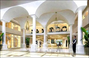 cho thuê cc hoàng kim thế gia, 8 triệu, 65m2,2pn,2wc ở bình tân, hcm