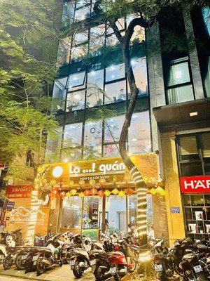 rất rẻ mt trần quang khải, q.1 (6,2x20m) 5 lầu hdt 110tr, bán 24 tỷ