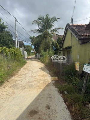 bán đất 101m2 tại ninh đa, 550 triệu, khánh hòa