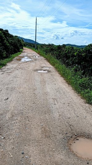 hàng hiếm tại đường tỉnh lộ 726, phú sơn, lâm hà, 3,1 tỷ, 15.000m2