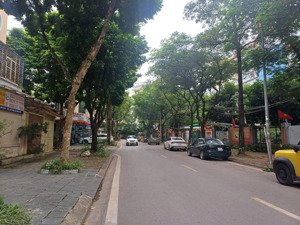 biệt thự đơn lập lô góc kđt bắc linh đàm dt230m2 gần trường quốc tế bill gates