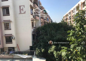 giảm mạnh căn 2pn - cc sơn kỳ - tân phú sổ hồng riêng - hỗ trợ vay