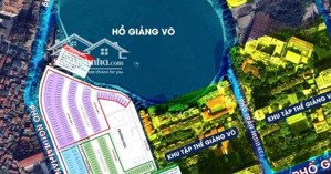 xuất ngoại giao, định danh slot đỗ xe vinhomes 148 giảng võ, tiềm năng tăng giá, thu nhập dòng tiền