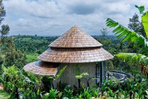 nhà homestay (săn mây) sổ đỏ sang tên liền. lâm đồng cách tp bảo lộc 6p đi xe